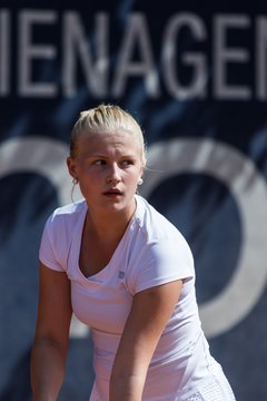 Bild 209 - NTV Meisterschaft